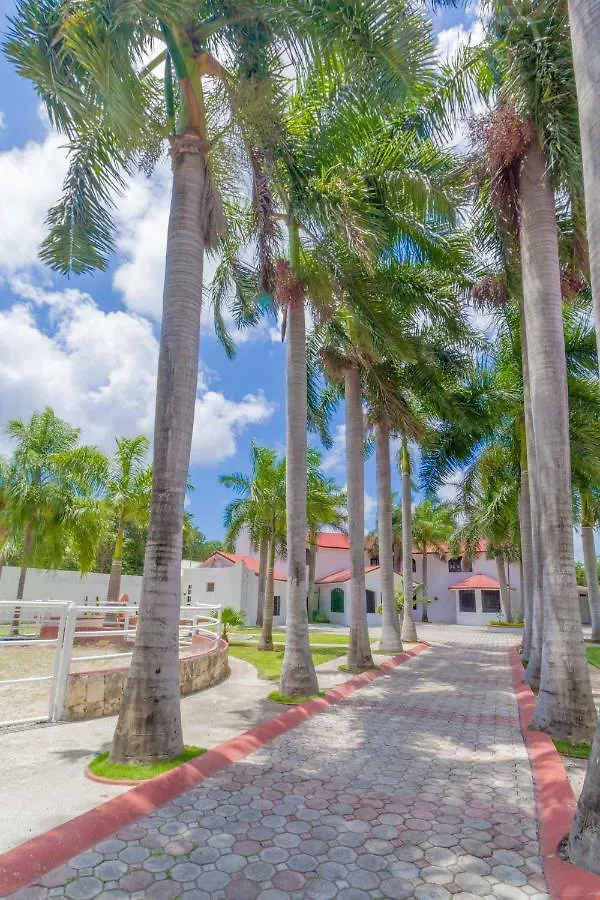 بيت ضيافة B&B Quinta Juventina